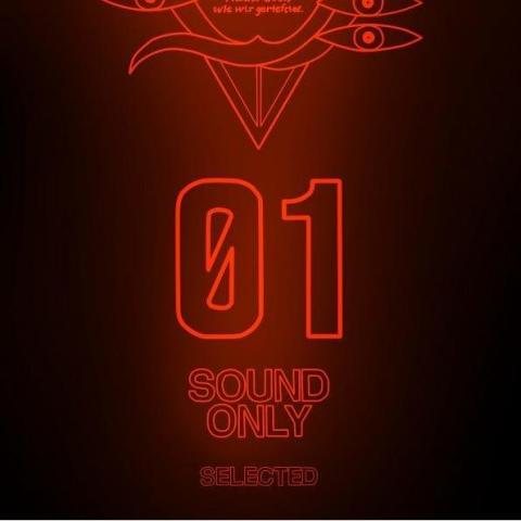 提供配音服務的專家配音練習生