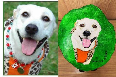 畫布、石頭彩繪(寵物、人物肖像似顏繪) - 