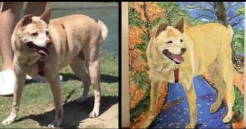 石頭彩繪 - 此幅為8號無框油畫布，尺吋45x33cm，售價$2500。