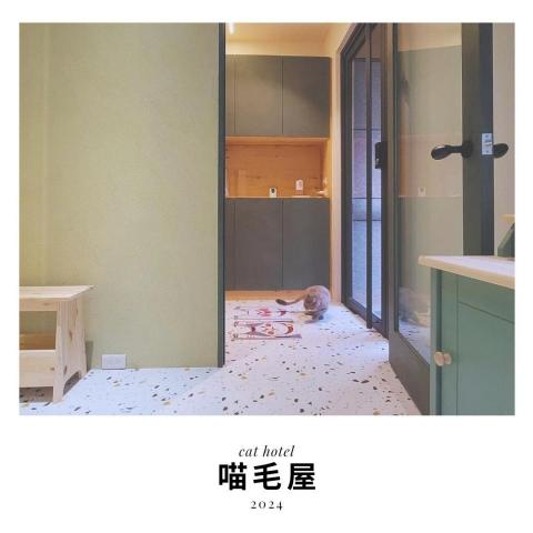 喵毛屋貓咪旅館 - 玄關