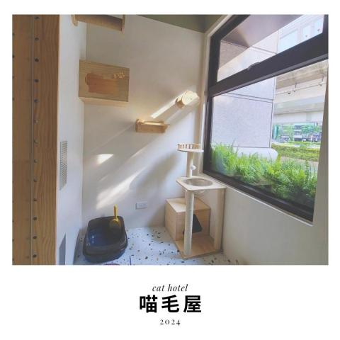 喵毛屋貓咪旅館 - 景觀房