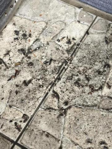 世晟居家水電 - 