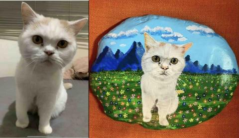 畫布、石頭彩繪(寵物、人物肖像似顏繪) - 