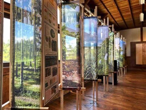 呂依璇 - 展覽內容排版-台灣南部水果