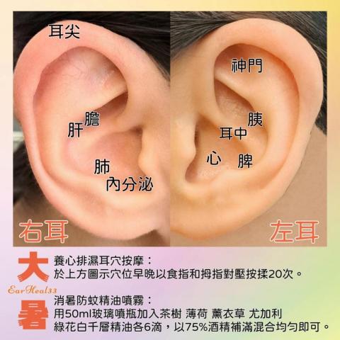 Earheal33 - 節氣大暑耳穴調理