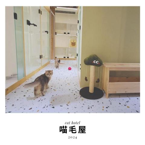 喵毛屋貓咪旅館 - 住宿區