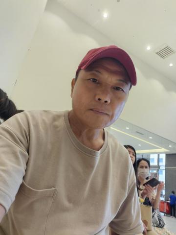 提供鋸樹服務的專家樺園園藝公司