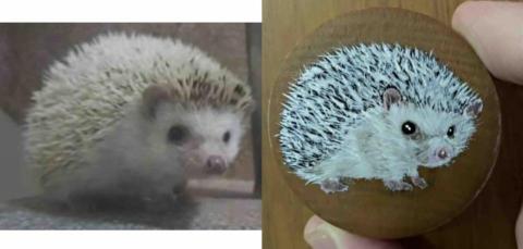 畫布、石頭彩繪(寵物、人物肖像似顏繪) - 