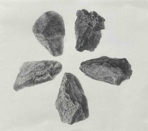 Noina - 素描創作