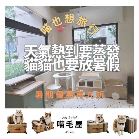 喵毛屋貓咪旅館 - 夏季折扣