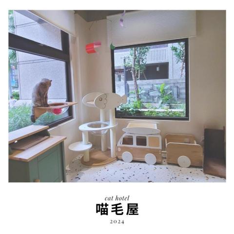 喵毛屋貓咪旅館 - 遊戲區