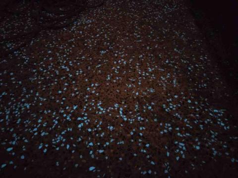 正遠鋒實業股份有限公司 - 