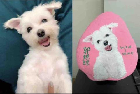 石頭彩繪 - 左圖為客戶提供原始照片，右圖為手繪成品，尺寸通常為成人男性手掌張開大，附贈支撐底座，紀念、收藏、送禮或放置室外均不易退色，此顆背景較簡單，故售價$800元。