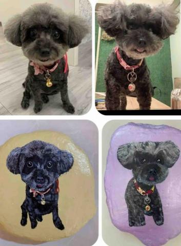 畫布、石頭彩繪(寵物、人物肖像似顏繪) - 