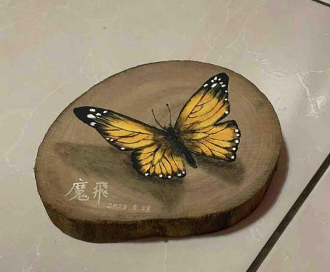 畫布、石頭彩繪(寵物、人物肖像似顏繪) - 