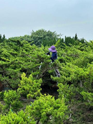 柏君園藝 -  柏君園藝 -