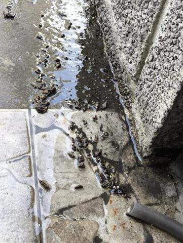 世晟居家水電 - 