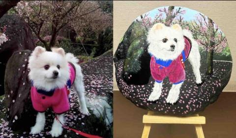 石頭彩繪 - 此幅為飼主要求希望與原圖背景一致，極具紀念與回憶，具防水防塵，不易退色。此顆售價$1,500元。