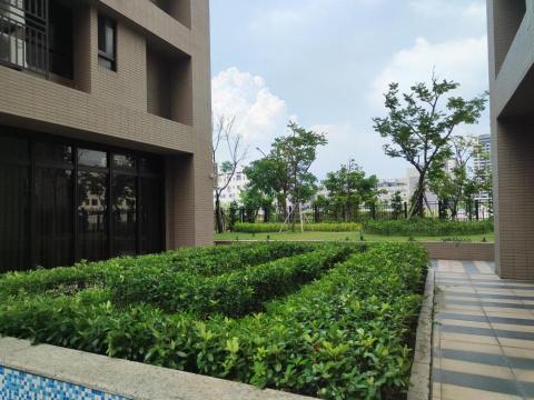 台南園藝行 - 灌木修剪