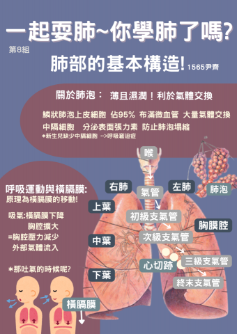 Yin Qi - 科普文宣、教材範例