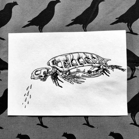 立羽工作室 - 代針筆作品（風格參考）（可委託客製刺青圖）

海龜骨骼