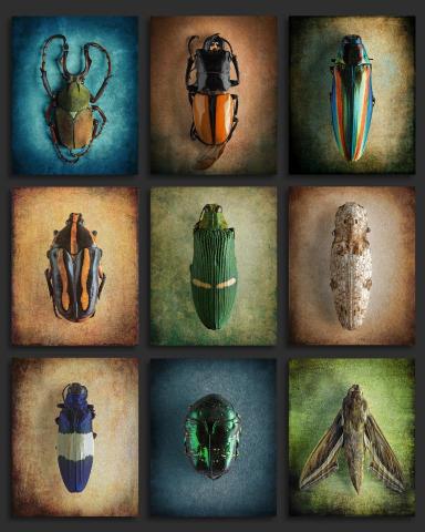 叡影攝影工作室 - 