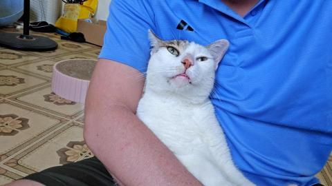 到府經絡穴道運動肌肉按摩 男士骨盆底肌保養 男 師傅 - 