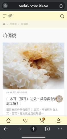 Shane - 客戶案例-SEO文章