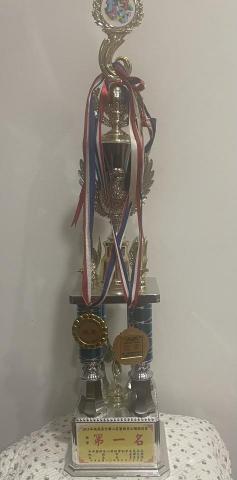 陳璽安 - 2015桃園杯全國心算暨數學公開邀請賽 第一名