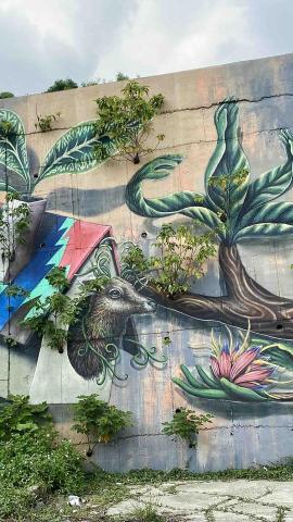 Weili soul -  Weili soul -