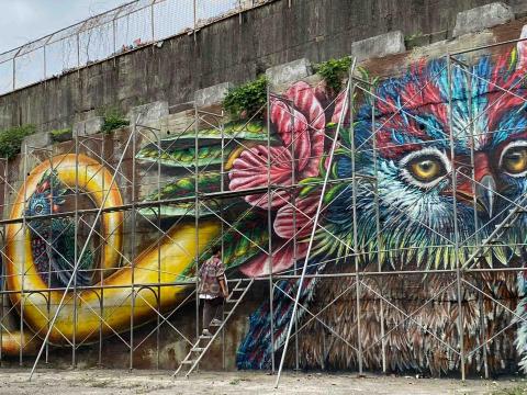 Weili soul -  Weili soul -