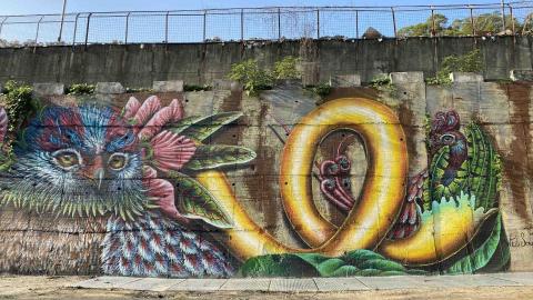 Weili soul -  Weili soul -