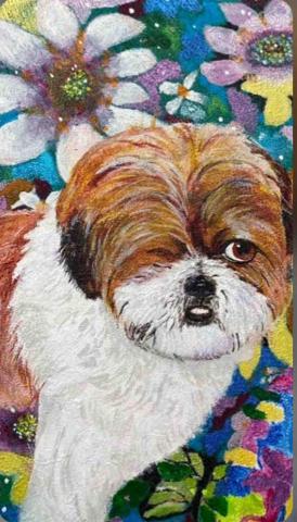 畫布、石頭彩繪(寵物、人物肖像似顏繪) - 