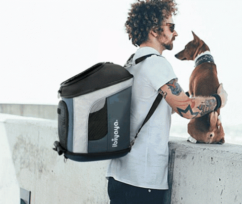Avo Li - The Space Backpack features a round window similar to those found on spaceships. 
Pets can comfortably explore the amazing world outdoors through this window.