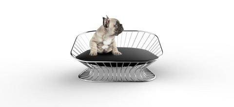 Avo Li - Inspired by bird nests, I designed a durable, elegant pet bed using thick metal wires. The metal can be coated in various colors and paired with comfy cushions, making it a standout piece in any home.