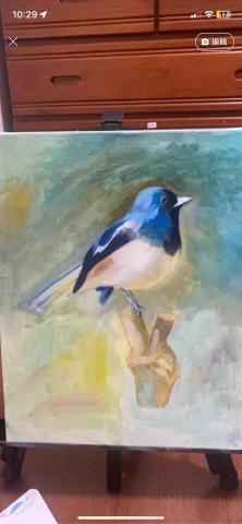 雅茵音樂教室 - 鳥