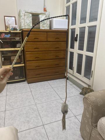 李馥安 - 家裡有逗貓棒一支