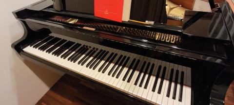 瑄音樂工作室 - 工作室使用平臺鋼琴教學