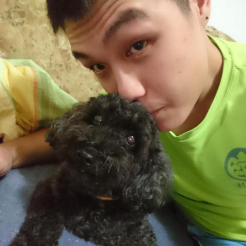 提供保母服務的專家維維寵物服務