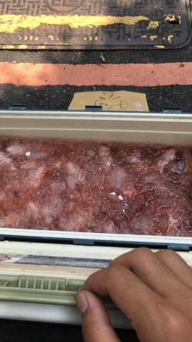 廖信強 - 兼職賣魚