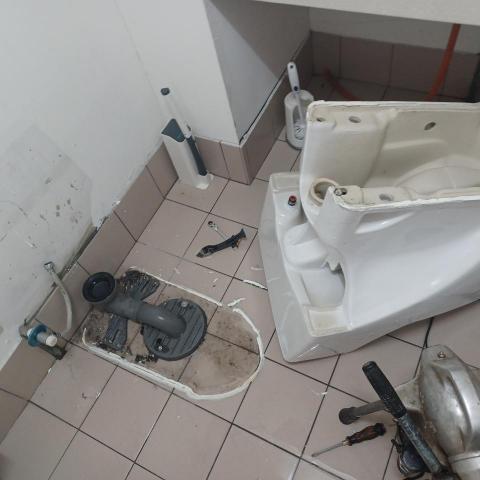 日日通環保衛生清潔社 - 馬桶阻塞疏通