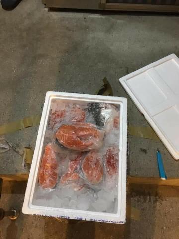 廖信強 - 貨到付款