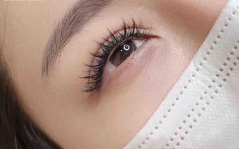 鳳睫到府 - 漫畫款