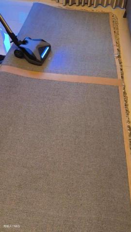 楊淑閔 - 地毯除蟎、除塵