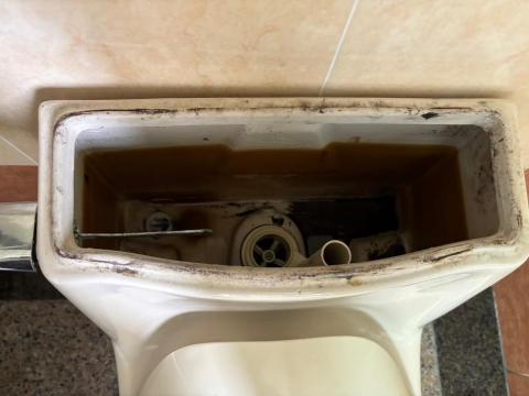 林承翰 - 單體式水箱馬桶進水浮球故障更換