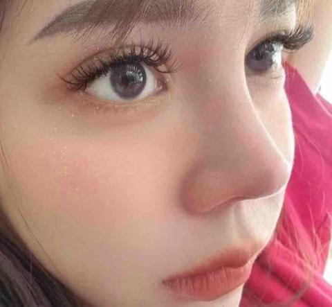 鳳睫到府 - 三葉草