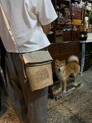 陳愛琼 工藝教學 -  陳愛琼 工藝教學 -