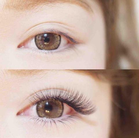 鳳睫到府 - 三茶花