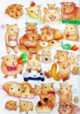優優(yoyo) - 《天竺鼠與黃金鼠》
使用麥克筆與色鉛筆畫描繪了我最喜愛的天竺鼠和黃金鼠，我加入了許多有趣的配件和元素，使畫面更添趣味和細節。