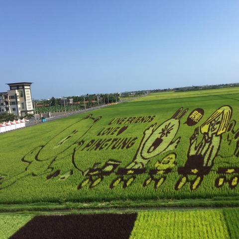 提供碧潭景點服務的專家Jason